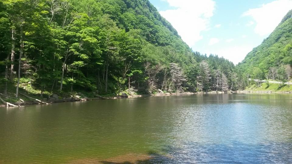 Where (and How) to Find Primitive Catskills Camping